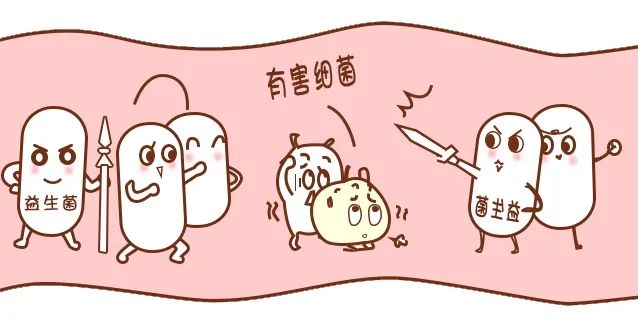 胃癌元兇幽門螺桿菌，益生菌竟是根除它的好幫手