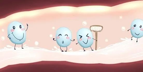 “孕期”為什么要補充益生菌？直接關(guān)系到“嬰兒”的健康