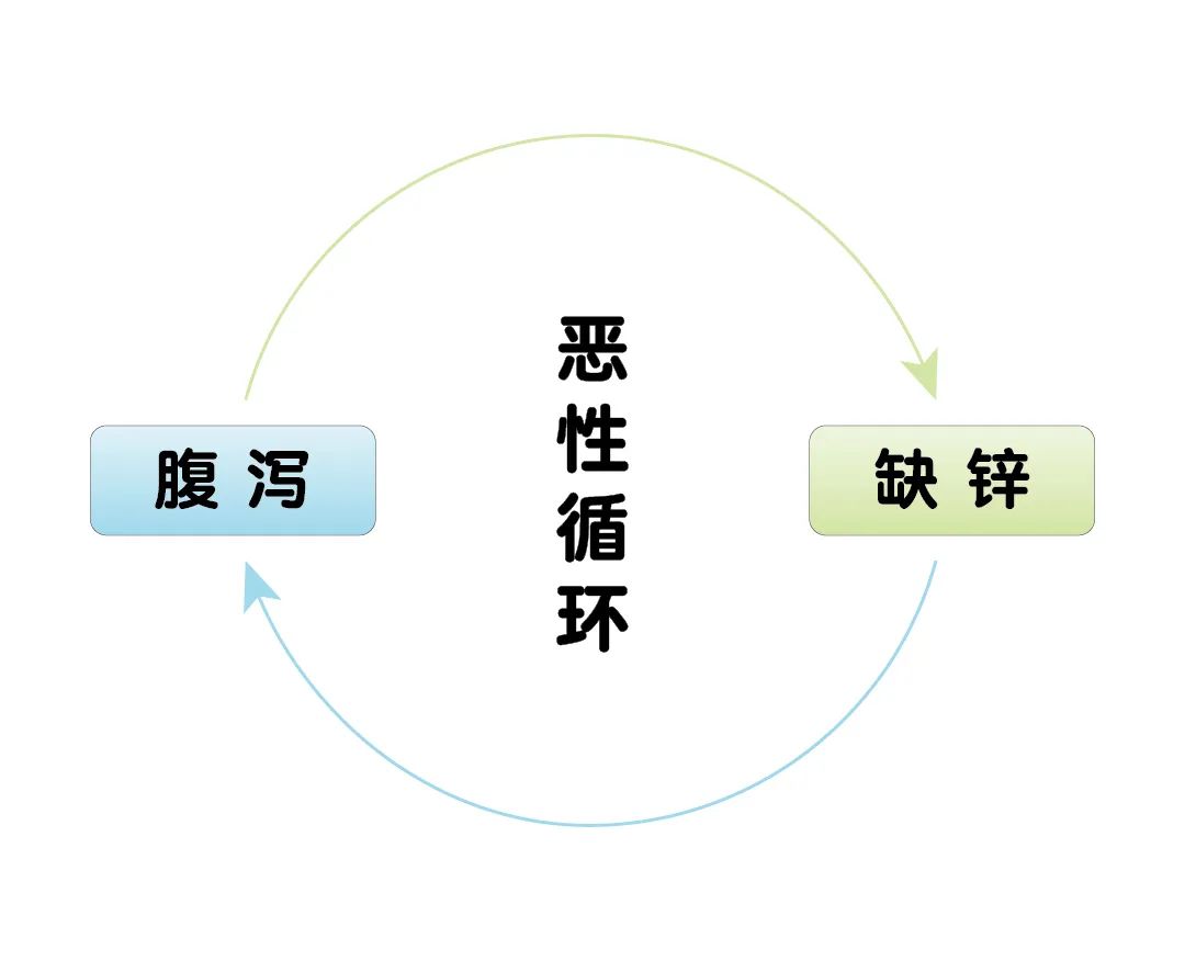 寶寶腹瀉期間，為什么要補(bǔ)鋅？